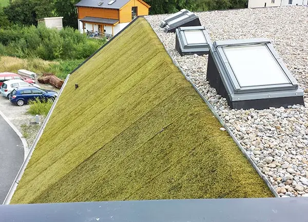 Green Eco Roof Architect