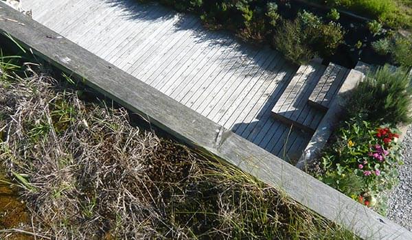 Timber Deck Grass Roof